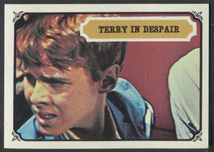 6 Terry In Despair